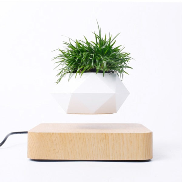 Levitating Air Bonsai Pot - Plug Type US UK EU AU