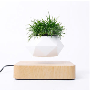 Levitating Air Bonsai Pot - Plug Type US UK EU AU