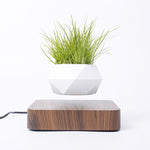 Levitating Air Bonsai Pot - Plug Type US UK EU AU