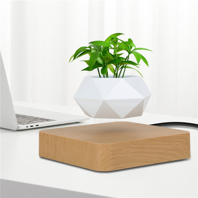 Levitating Air Bonsai Pot - Plug Type US UK EU AU